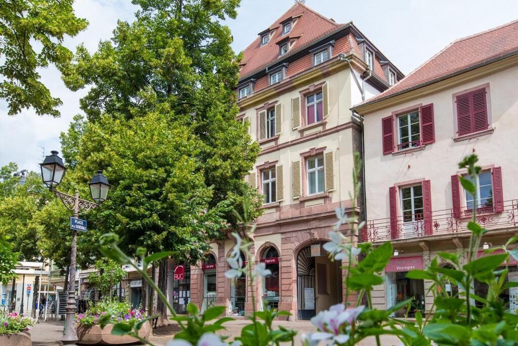 Centre Historique Colmar La Collegiale Resort Экстерьер фото
